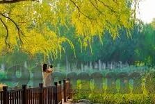 91av麻豆传媒app怎么下载-轻松上手，下载便捷——关于91av麻豆传媒app的下载指南
