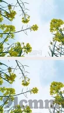 中文字幕乱在线伦视频-中文字幕下的网络伦理边界，一场关于内容审慎的探讨